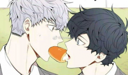 耽美漫画图,一段跨越时空的爱恋